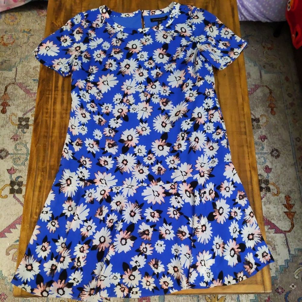 Banana Republic Blue White Pink Daisy Floral Dress